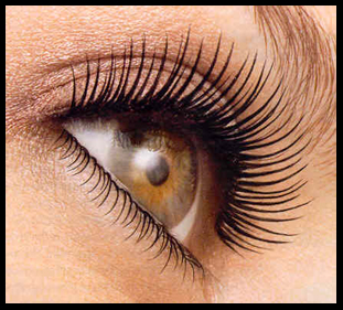 Diorshow Mascara on Canadian Freebies Free Diorshow Iconic Mini Mascara From Dior