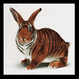 Petcetera Printable Coupon for 10% Discount on Pet Supplies