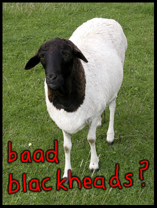 clean clear coupon clean clear coupon