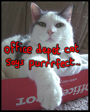 Office Depot Discounts Canadian Deals: Office Depot $40 Discount on $200 Spend! (Online or In Store)