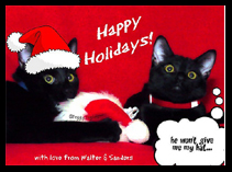 5 Hints And Tips On How To Save Money On Christmas Greeting Cards! 