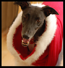 5 Hints And Tips On How To Save Money On Christmas Greeting Cards!