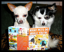 Petcetera Canada Discount Coupons Canadian Discounts: Petcetera Coupons $10 off $25+