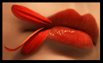 Cake Beauty 30% Discount Coupon! Canadian Coupons: Cake Beauty Coupon Code For 30% Discount!