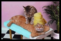 Great deals on massages & spa treatments @ Wayspa.com Massages, Dispoable Panties, And More!
