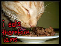 Free Coupons For Discounts on Iams Pet Food Iams Pet Food Coupons… Cheap Cat Cuisine & Discount Dog Food!