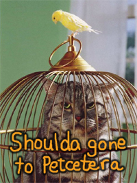Petcetera Canada Discount Coupon New Petcetera Coupon For $10 Off $25…