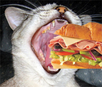 Shoppers Drug Mart: Free $10 Subway Cards!
