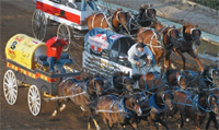 Free discount coupons for tourist attractions in Calgary, Alberta! Calgary Coupons: Printable Coupons For Attractions!!