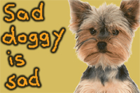 Pet Freebies: Free Dog Food (Royal Canin)
