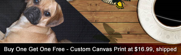 1699canvasb1f1 Artscow Coupons: Save Cash On Custom Photo Gifts!