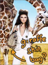 Bebe Coupons - 15% off $100+! Bebe Coupons: Get 15% off $100!