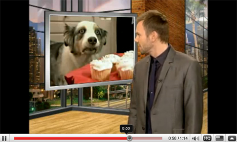Monday Meme Of The Week: Cupcake Dog! 