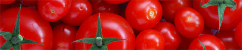 Home Depot Canada Coupon: BOGO Vegetable Plants! 