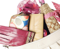 Coach Coupon: Sign Up For 20% Discount!