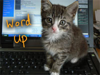The Ultimate Steal: Great Deal For Students On Microsoft Office!  