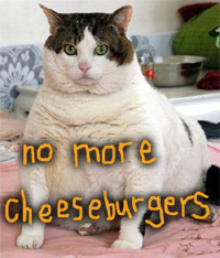 Weightwatchers WeightWatchers Canada: 25% Discount On Your Membership!