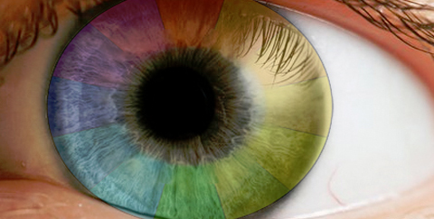 Contacts ClearlyContacts Coupon Code: 10% Off & Free Shipping!