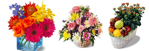 Flowers Oconnor Florist Coupon Code: $10 Off $50!