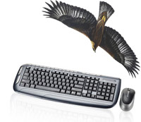 Nexxtech Keyboard & Mouse For $14.99 @ The Source (TODAY)