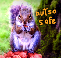 Safety Canadian Freebies: Free Autumn Safety Pack