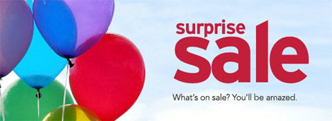 Sears Surprise Sale: November 12th & 13th Only! 