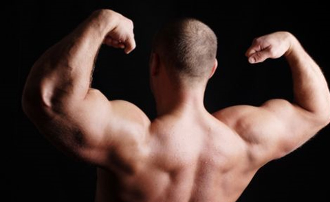 Muscles Supplementscanada Coupon: Up To 15% Discount