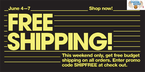 American-APparel American Apparel Free Shipping Coupon Code