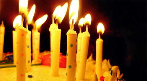 Happy 2nd Birthday Bargainmoose!