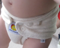 Eden Cloth Diapering Company: $20 Off Diaper Package