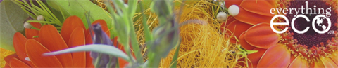 Everything-Eco EverythingEco.ca Coupon Code