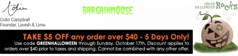 Lavish and Lime: $5 off $40 Coupon Code