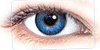 Halloween Contacts