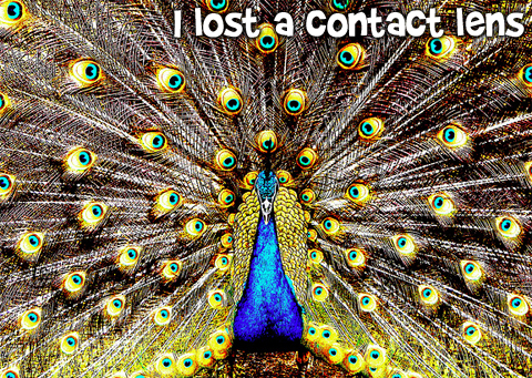 ClearlyContacts Coupon Codes For December 2010