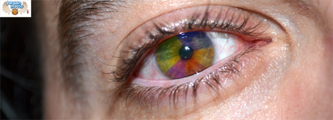 Clearly Contacts Coupon Codes