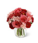 Grower Direct Canada: Valentines Coupon Code Photo Grower Direct Canada: Valentines Coupon Code