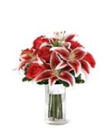 Grower Direct Canada: Valentines Coupon Code Photo Grower Direct Canada: Valentines Coupon Code