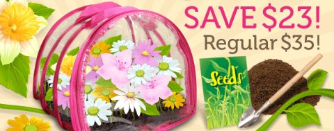 Mastermind Toys: $12 Botanicals Enchanted Fairy Garden
