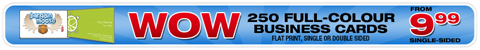 CArds 250 Business Cards For $9.99 @ Staples Canada