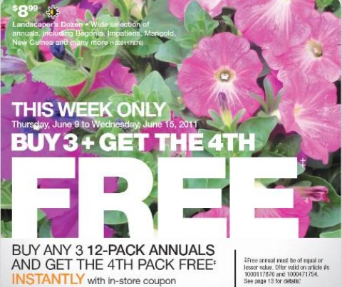 Home Depot Canada In Store Coupon: Buy 3 Get 4th Free 12 Pack Annuals Photo Home Depot Canada In Store Coupon: Buy 3 Get 4th Free 12 Pack Annuals