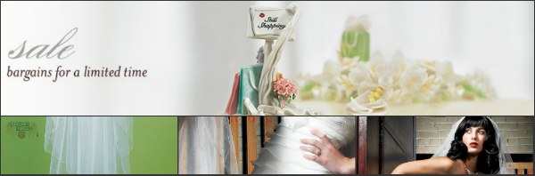 Wants & Wishes: Gold Scalloped Edge Veil & Rhinestones $29.98 (Orig. $59.98)