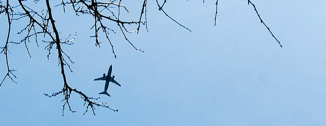 Flying Air Travel Coupon Codes