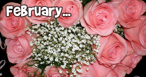 Monthly & Seasonal Sales Cycles: How to get the Best Deals in February Photo Monthly & Seasonal Sales Cycles: How to get the Best Deals in February