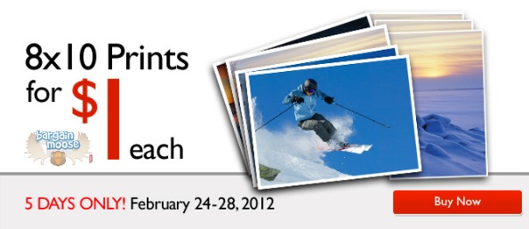 Blacks Canada: $1 8 x 10 Prints