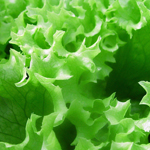 Letuce Eating Organic on the Cheap