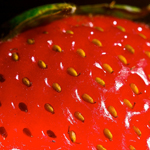 Eating Organic on the Cheap