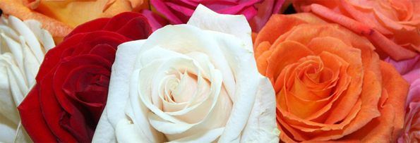 FLowers Groupon: $20 for $40 Worth of Flowers and Gifts @ FTD.ca