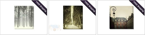 HomeSav Canada: Up to 70% off Irene Suchocki Photography