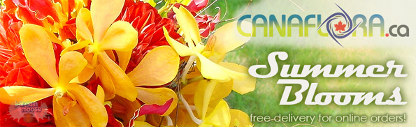 Canaflora-logo Canaflora Coupon Code Exclusive: 10% Discount