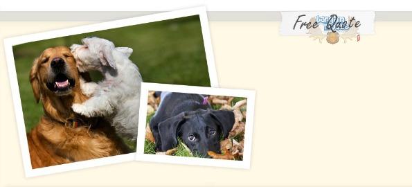 Trupanion: Free Pet Safety Stickers